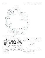 Bhagavan Medical Biochemistry 2001, page 273